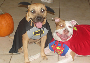 Бэтмен и супермен